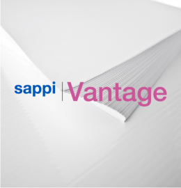 Vantage Wfc Silk 100g 860x610mm Sg P250