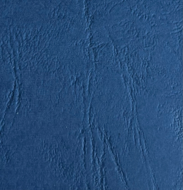 Torito Leather Bleu Bosphore 270g 700x1000mm Lg P100
