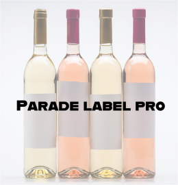 Parade Label Pro 80g 610x860mm Lg P500