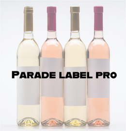 Parade Label Pro 80g 700x1000mm Lg P500