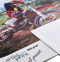 Artist Print Vinyl Paint 350g Szer.1370mm N.50m G.3cale  Fr B1