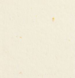 Gmund Bio Cycle Wheat 120g 700x1000mm Lg R150 Fsc Mix 70% Pbn-Coc-012373
