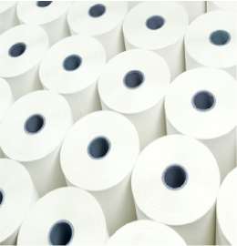 Neo Polyester Canvas Wb Matt 280g Szer.1118mm N.30m G.3cale