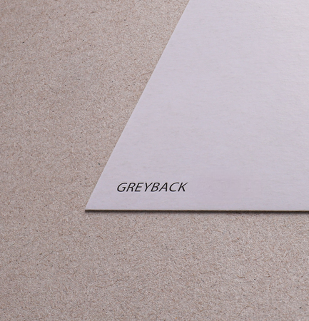 Greyback 450g 610x860mm Lg Fsc Recycled Credit Pbn-Coc-012373