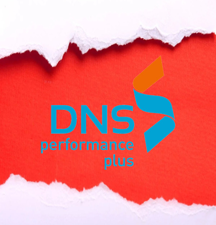 Dns Performance Plus 80g 450x320mm Sra3 Op1300 100% Pefc Certified Pbn-Pefc-Coc-000048