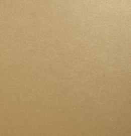 Sirio Pearl Gold 300g 720x1020mm Lg R100 Fsc Mix Credit Pbn-Coc-012373