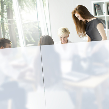 Image Perfect Poly Silver Matt Perm Pa 80micr. Szer.1220mm N.50m Ip7806pa