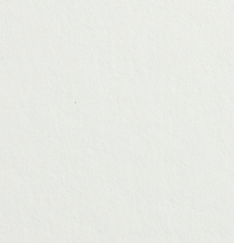 Gmund Bio Cycle Cycle 300g 700x1000mm Lg R100 Fsc Mix 70% Pbn-Coc-012373