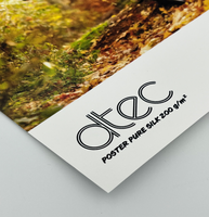 Dtec Poster Pure Silk 200g Szer.1060mm N.50m Gilza3cale Fsc Mix Credit Pbn-Coc-012373