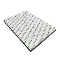 Instant Cf Yellow 161 55g 430x610mm Lg R500