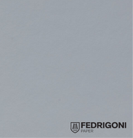 Splendorlux Mirror Argento 320g 720x1020mm Lg R100 Fsc Mix Credit Pbn-Coc-012373