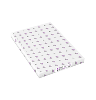 Dcp White 300g 210x297mm A4 R125 Fsc Mix Credit Pbn-Coc-012373