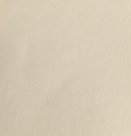 Kreativekarton Champagne 120g 700x1000mm Lg P100