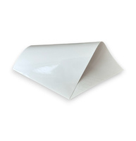 Ri-Jet M100 Mono Clear Gloss Perm Trans 100micr. Szer.1050mm N.50m