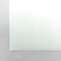 Adhoc Digital Dts-Idp Pet White Matt B/n 74g 320x450mm R200 Perm Plus 50micr Ks120